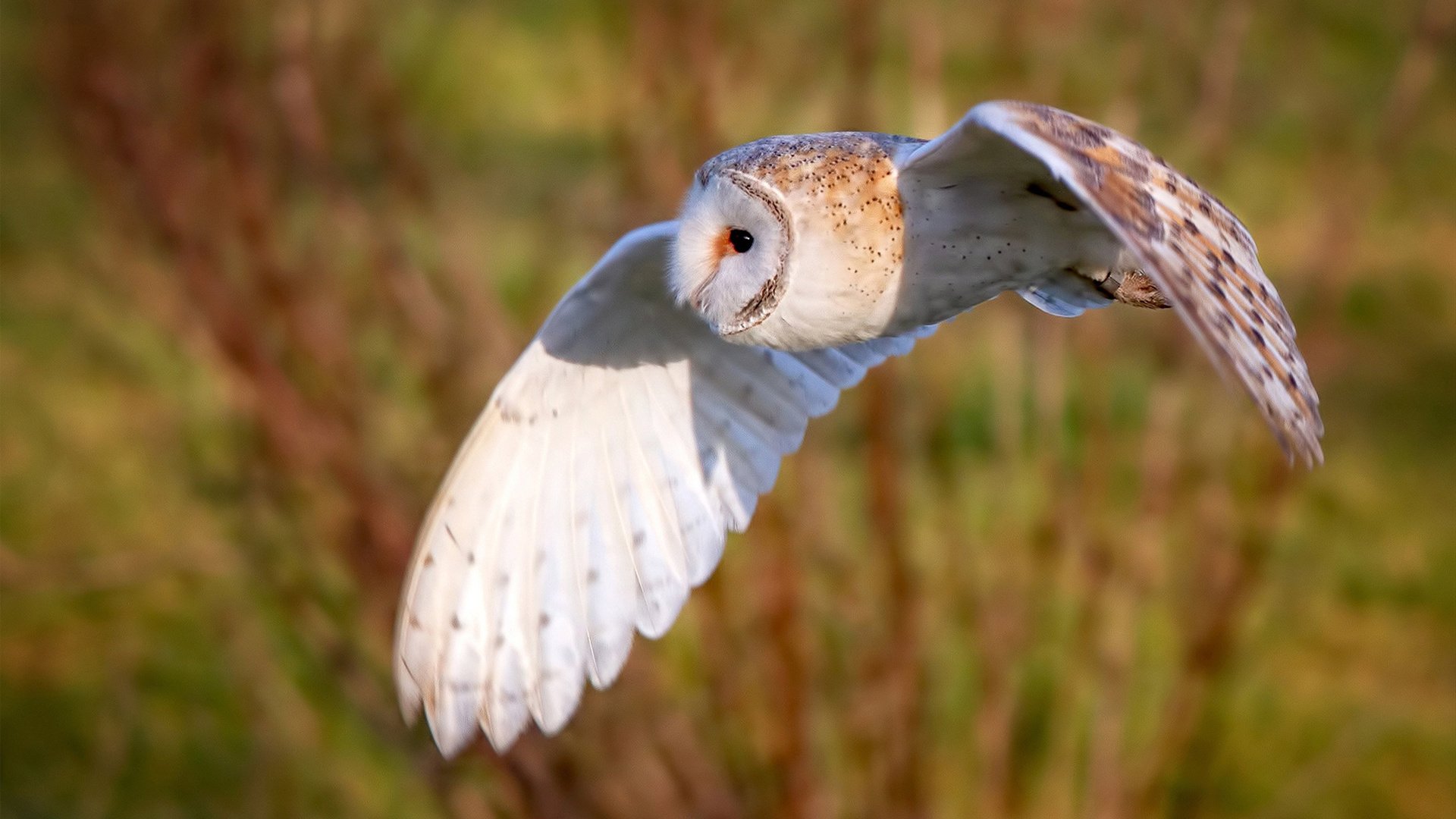 开云kaiyun-【“秒投”战术的崛起】投手如何利用时间限制达成精准投球？