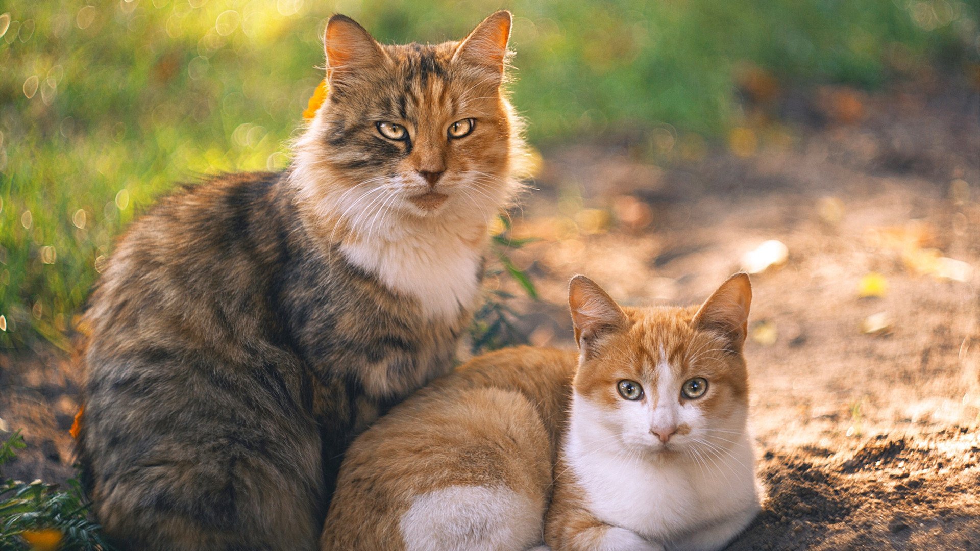 开云竞猜官网-今年联盟中投篮命中率最高的球员都有哪些？，投篮时机球员真实命中率