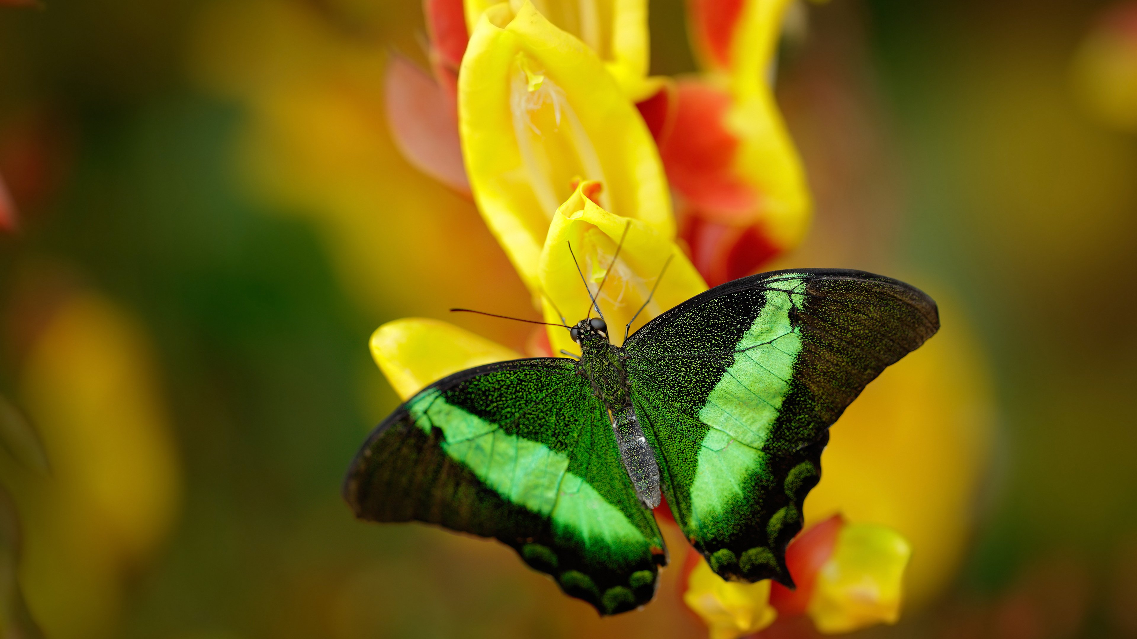 开云体育入口-休赛期投资动向：哪些球队目标体系大升级？，休赛期球员都在干嘛
